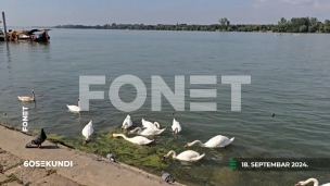 Vesti u 60 sekundi